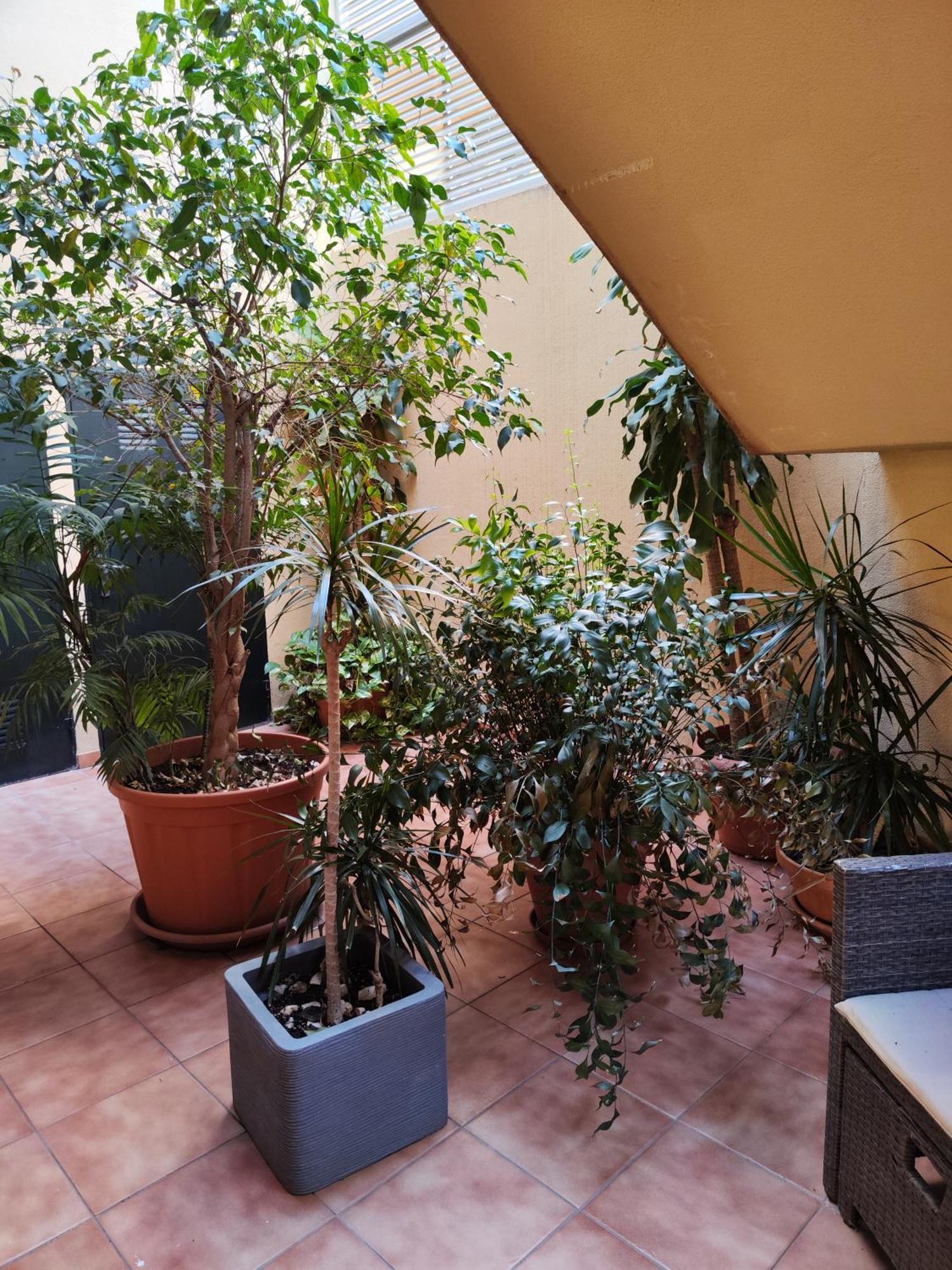 Апартаменты Malaga Experience Экстерьер фото