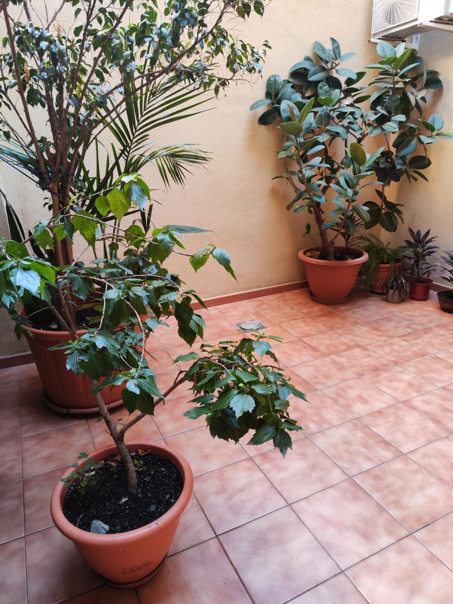Апартаменты Malaga Experience Экстерьер фото